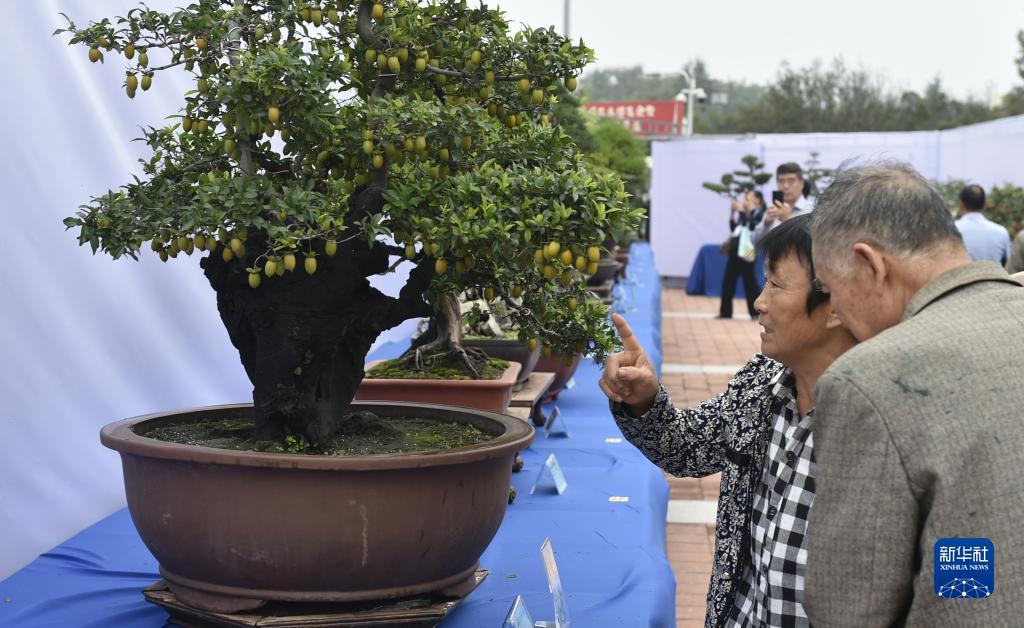 新普京手机娱乐